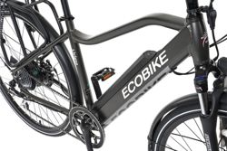 Rower elektryczny EcoBike Livigno 19"